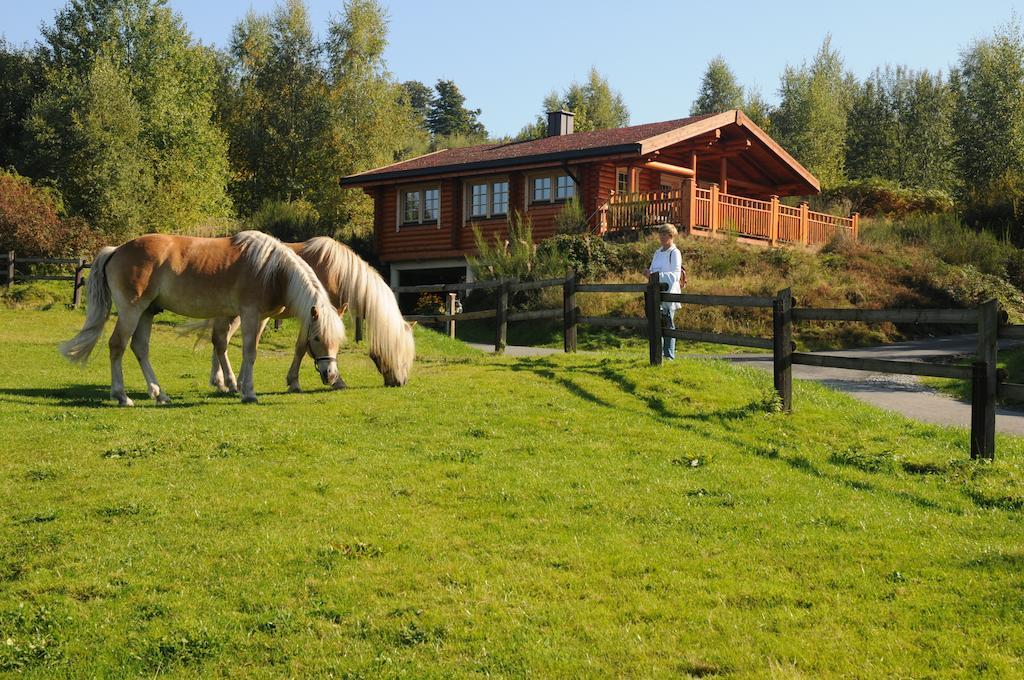 Hotelanlage Country Lodge Arnsberg Extérieur photo